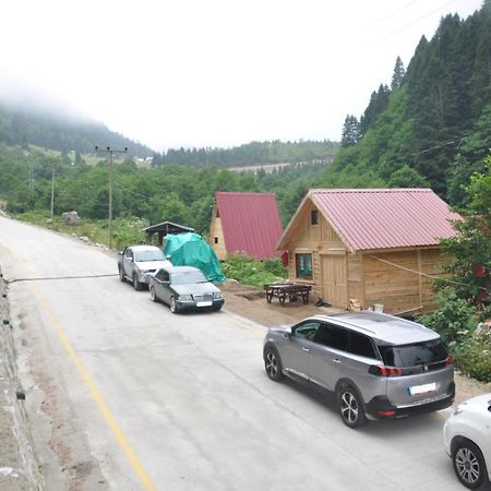 Lorant Dag Evleri Hotel Çamlıhemşin Buitenkant foto