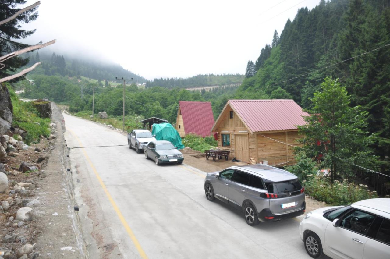 Lorant Dag Evleri Hotel Çamlıhemşin Buitenkant foto