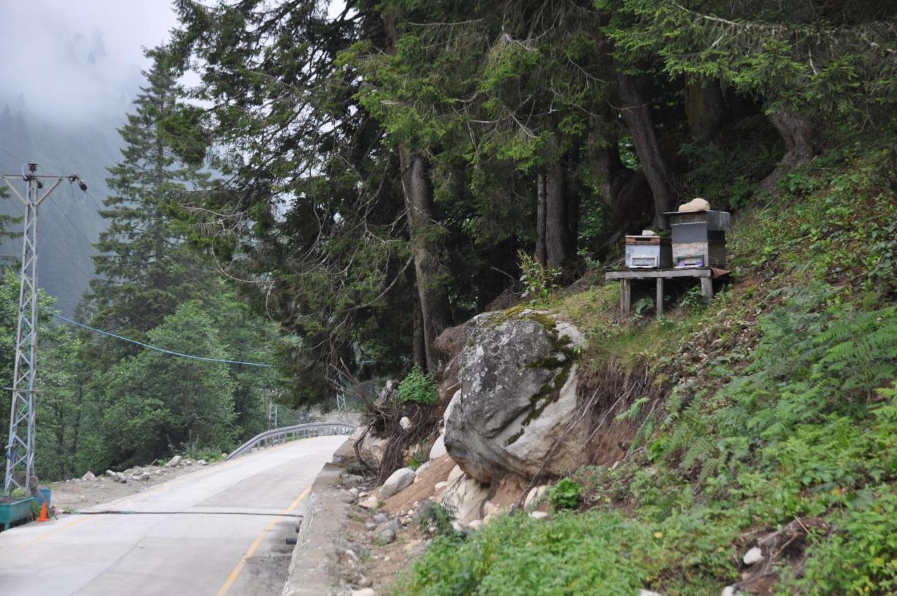 Lorant Dag Evleri Hotel Çamlıhemşin Buitenkant foto