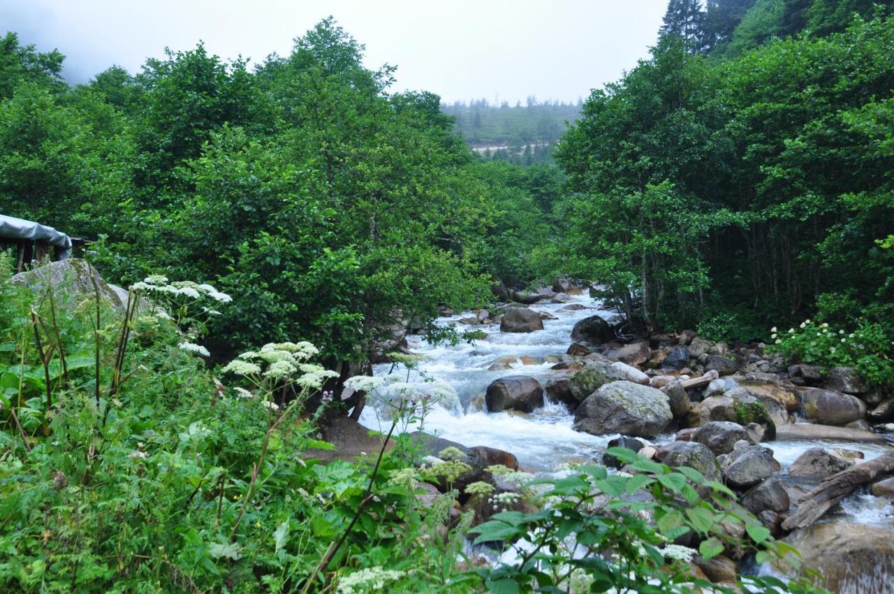 Lorant Dag Evleri Hotel Çamlıhemşin Buitenkant foto