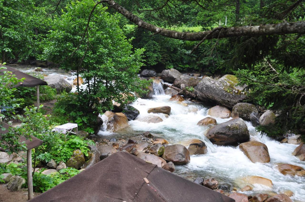 Lorant Dag Evleri Hotel Çamlıhemşin Buitenkant foto