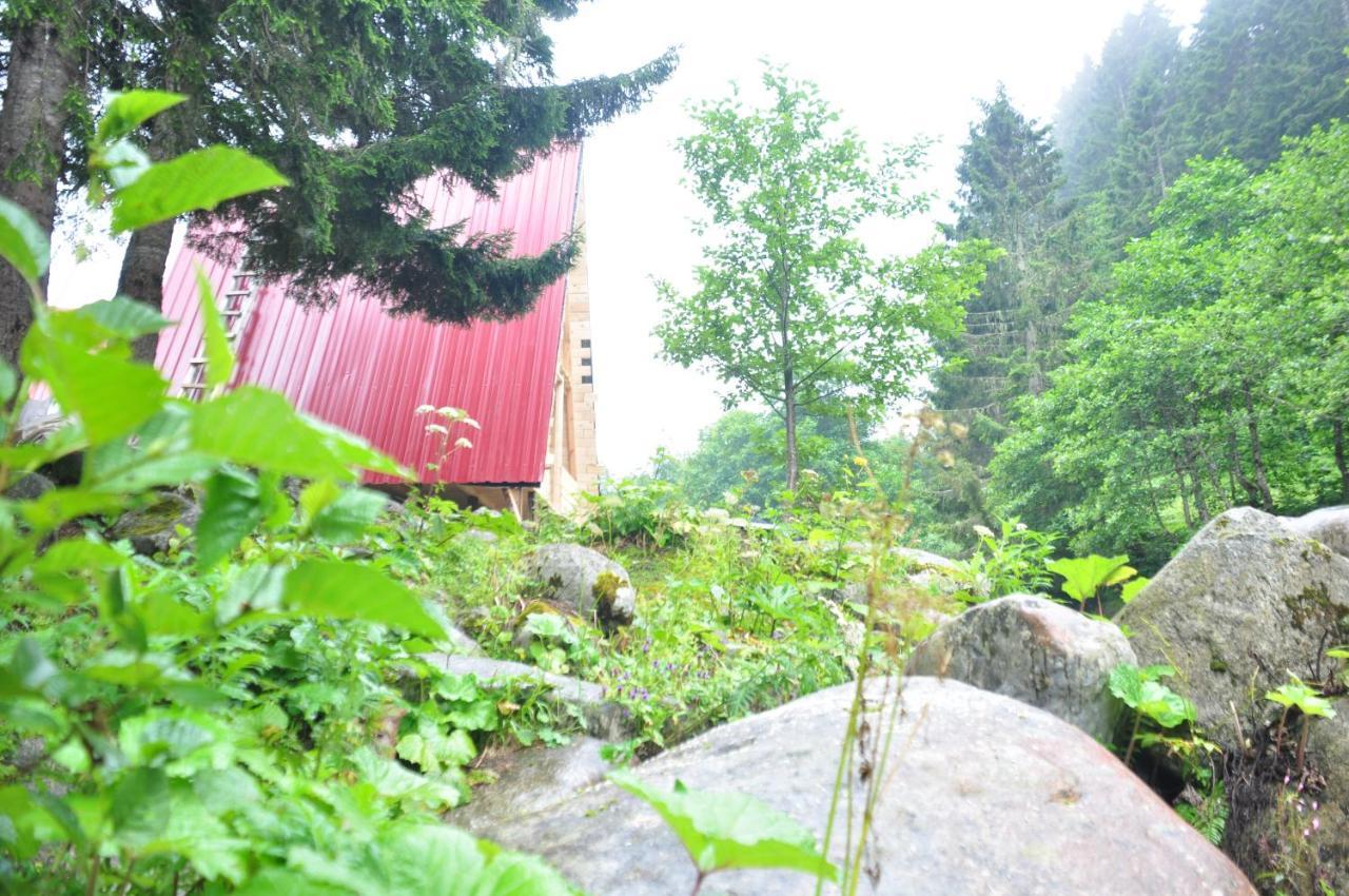 Lorant Dag Evleri Hotel Çamlıhemşin Buitenkant foto