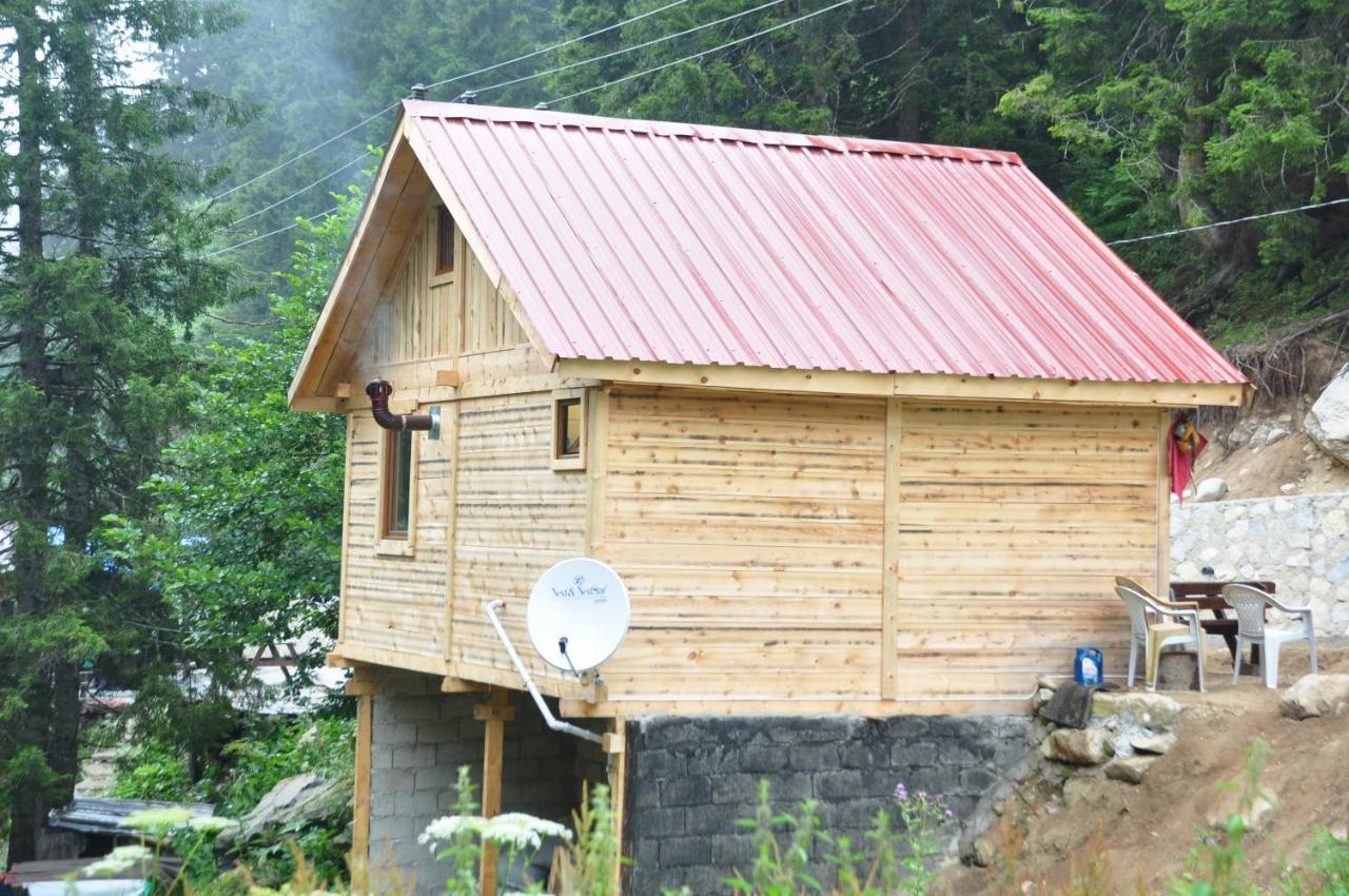 Lorant Dag Evleri Hotel Çamlıhemşin Buitenkant foto